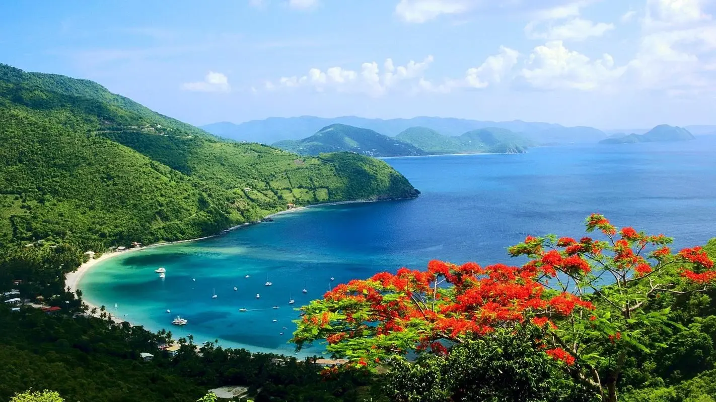 全自动自动化节能